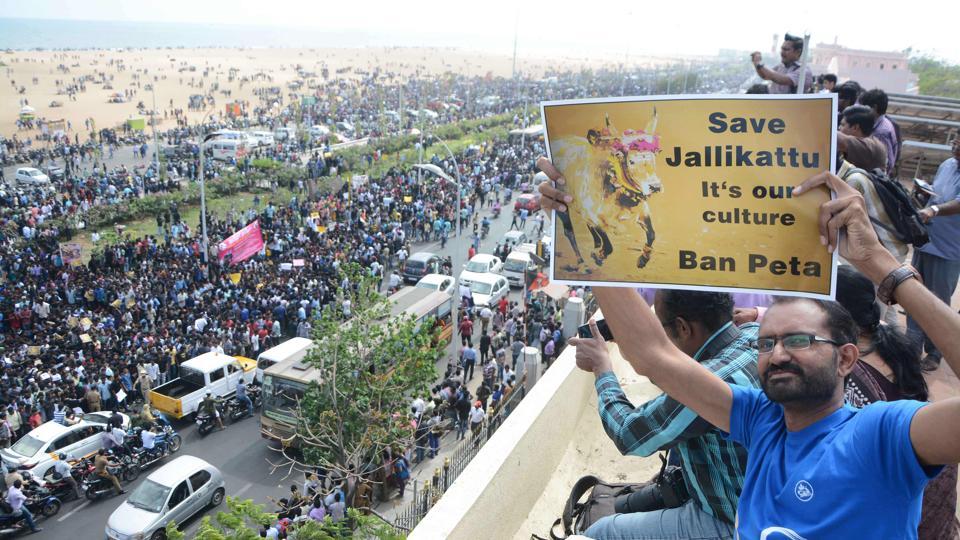 Jallikattu ban-Thousands protest