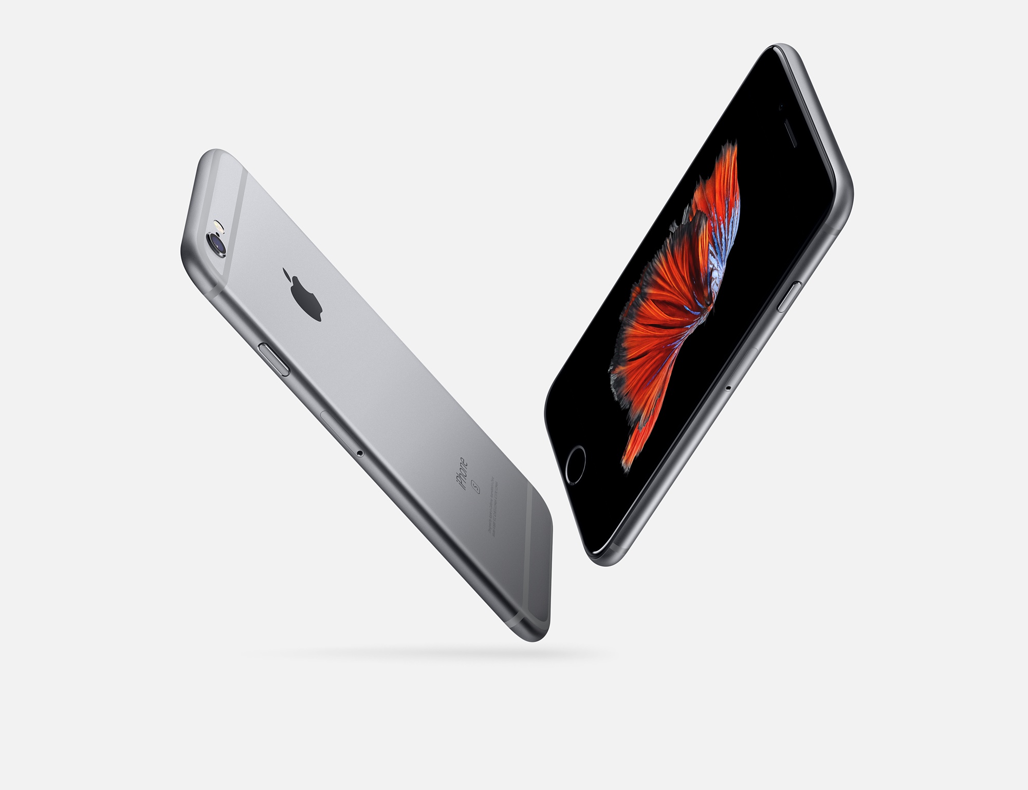 iphone6s-gallery2-2015