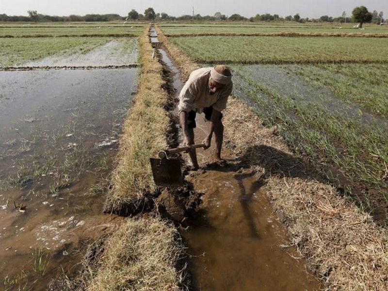 Loan weaver- solution to farmers crisis?