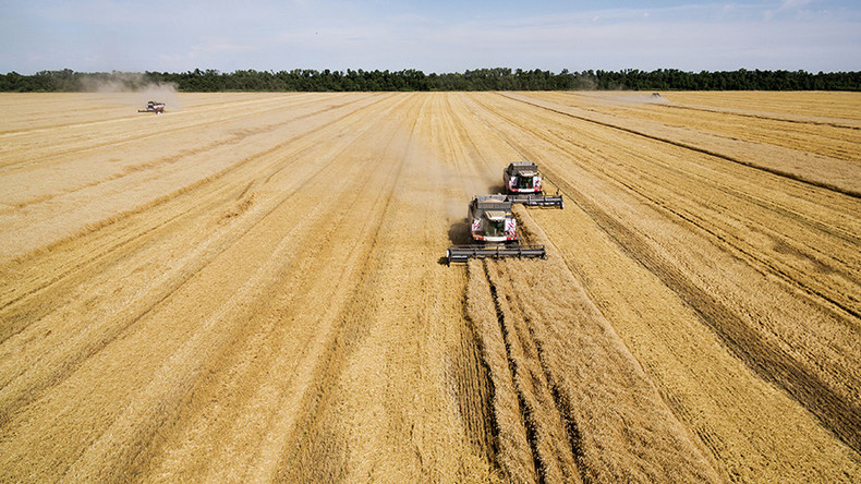 Russia edges out US wheat