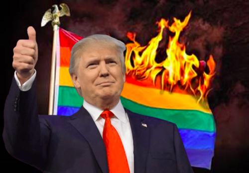 Trump-burning-rainbow-flag-500x349