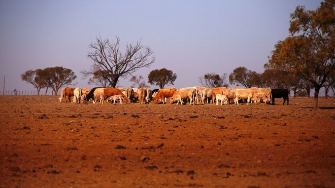 Australia: land of drought