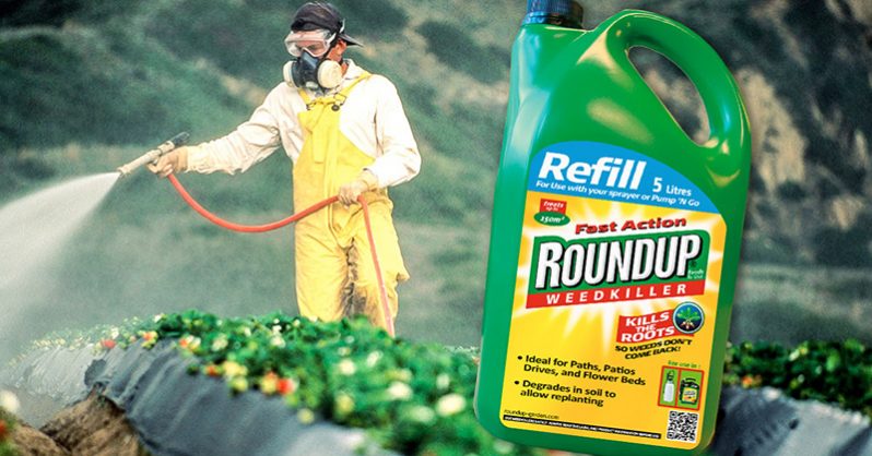 THS_June_12_03_Monsanto_roundup-798x418