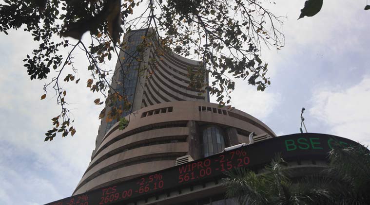 Stock markets buoyed by domestic investors