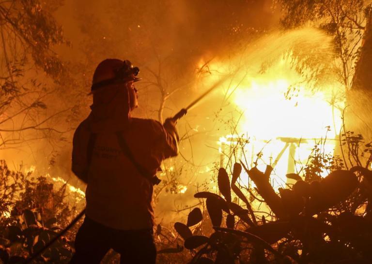 California wildfire toll rises