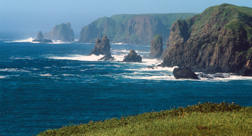 Japan to ink peace treaty with Russia over Kuril Islands