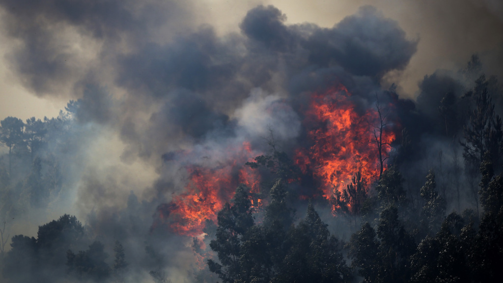 2018 was fourth-warmest year