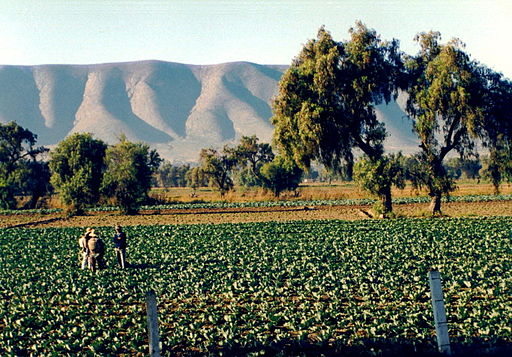 512px-Puebla_farmers