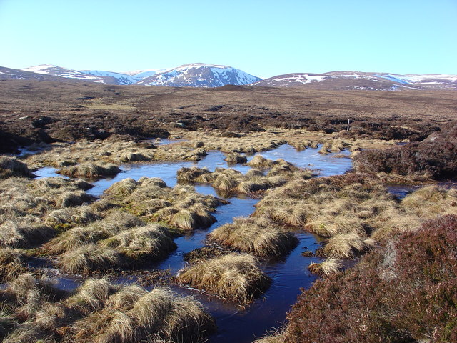 Urgent action on Peatlands